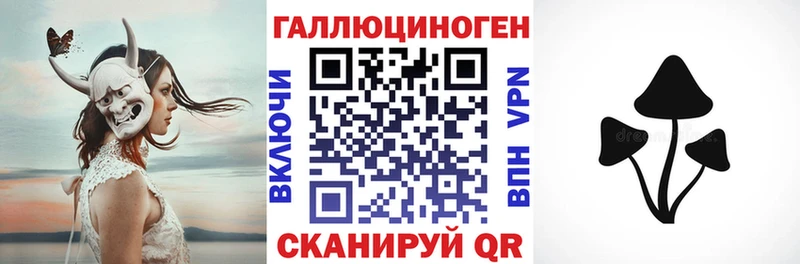 blacksprut ссылки Электрогорск Галлюциногенные грибы мицелий